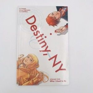Destiny NY Vol 1 Who I Used To Be by Shand Preitano Campbell Graphic Novel